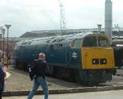 picture of Class 52 D1023 Western Fusilier on display at Old Oak Common 
